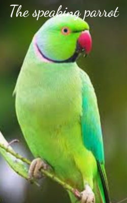 The Speaking Parrot
