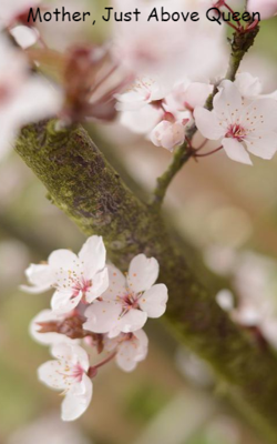 Mother, Just Above Queen