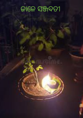 ଜାଳେ ସଞ୍ଜବତୀ