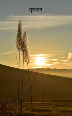सुप्रभात