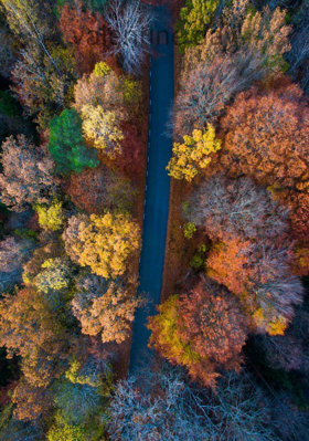 वेलेंटाइन डे