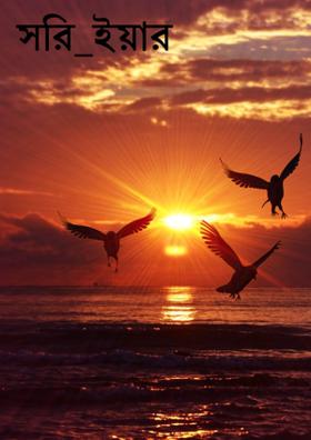 সরি_ইয়ার