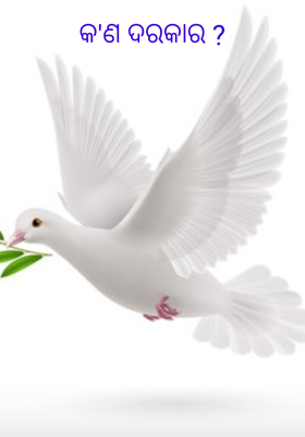 କ'ଣ ଦରକାର ?