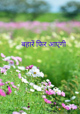 बहारें फिर आएंगी