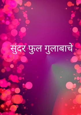 सुंदर फुल गुलाबाचे