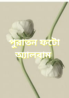 পুরাতন ফটো অ্যালবাম