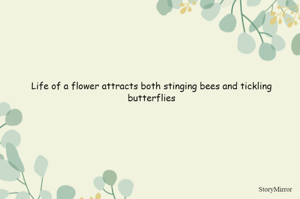 Life of a flower attracts both stinging bees and tickling butterflies