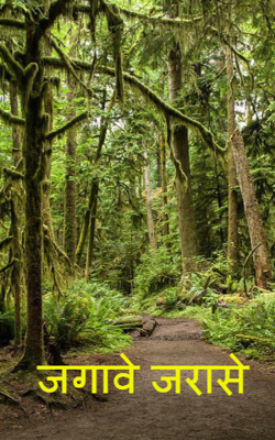 जगावे जरासे