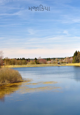 મજાકિયા