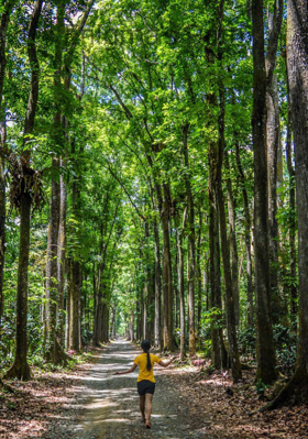 Enigma's Path