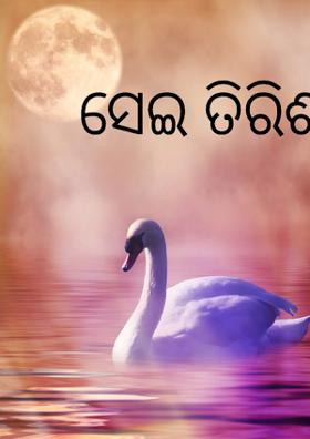 ସେଇ ତିରିଶ ମିନିଟ୍