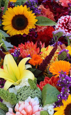 मनुष्य के दो रत्न ईमानदारी और सत्यनिष्ठा