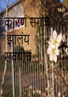 कारण सगळं झालंय सवयीचं...