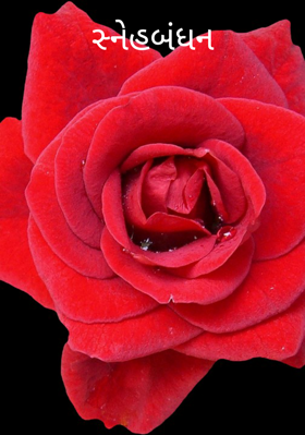 સ્નેહબંધન