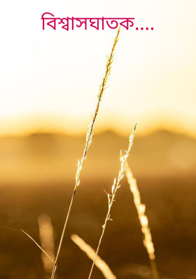 বিশ্বাসঘাতক....