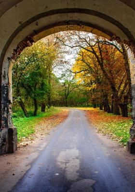 मेरे अपने