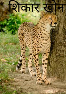 शिकार खोना