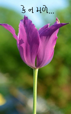 કે ન મળે