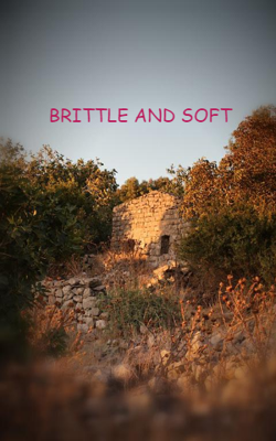 Brittle And Soft