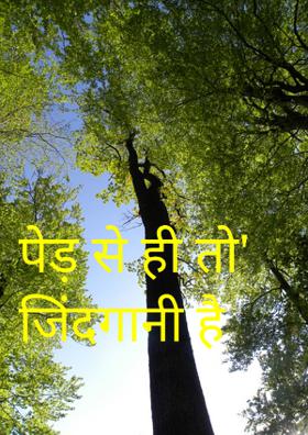 पेड़ से ही तो जिंदगानी है