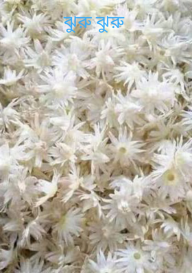 ঝুরু ঝুরু