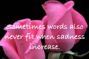 Sometimes words also never fit when sadness increase.