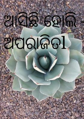 ଆସିଛି ହୋଲି -ରୀତା ଅପରାଜିତl