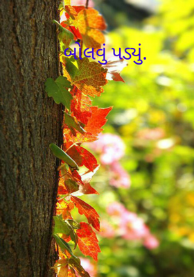 બોલવું પડ્યું