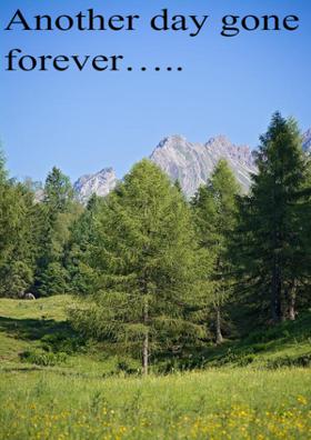 Another Day... Gone forever…