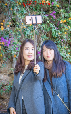 ધૂળેટી ઊજવીએ