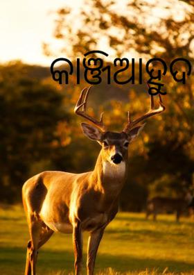 କାଞ୍ଜିଆହୁଦା