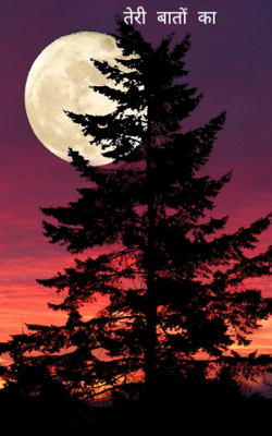 तेरी बातों का