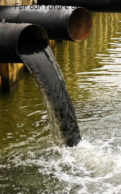 For Our Future Generation