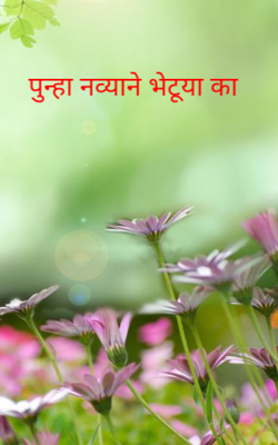 पुन्हा नव्याने भेटू या का