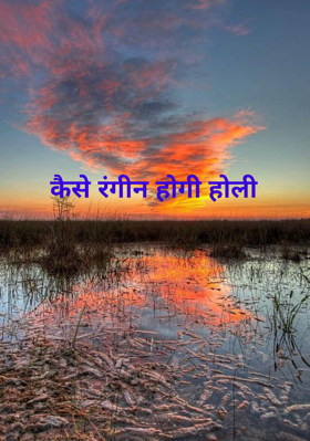 कैसे रंगीन होगी होली