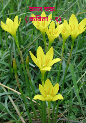 काल चक्र