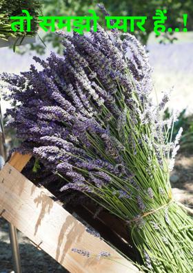 तो समझो प्यार है