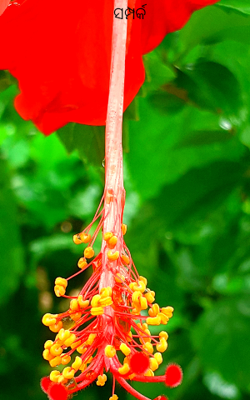 ସମ୍ପର୍କ