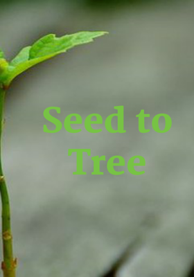 Seed to Tree