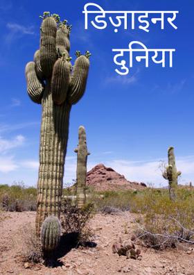 डिज़ाइनर दुनिया