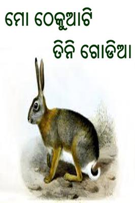 ମୋ ଠେକୁଆଟି ତିନି ଗୋଡିଆ