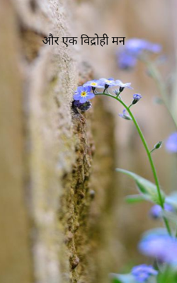 और एक विद्रोही मन