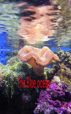 Blue Ocean