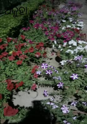 ଅକୁହା କବିତା