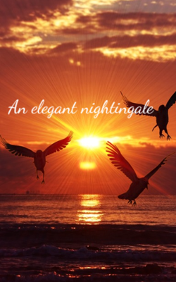 An Elegant Nightingale