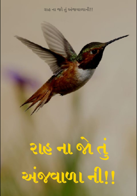 રાહ ના જો તું અજવાળાની
