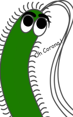 Oh Corona !