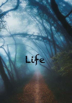 Life