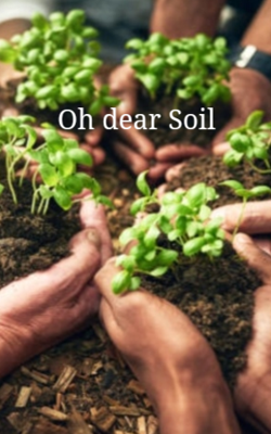 Oh Dear Soil