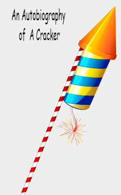 An Autobiography Of  A Cracker